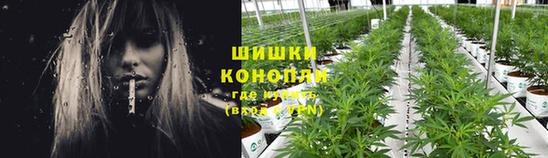 твердый Сосновый Бор