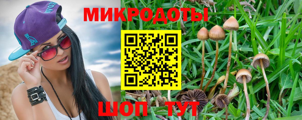Псилоцибиновые грибы мицелий  Вход с VPN  Псилоцибиновые грибы Magic Shrooms  Губаха 